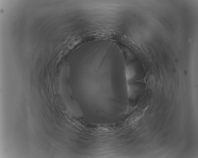 X0000076080913200610061612