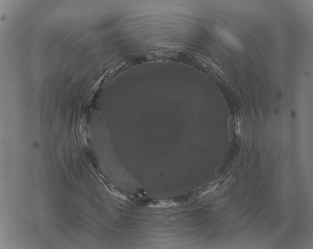 X0000076080915200610061612