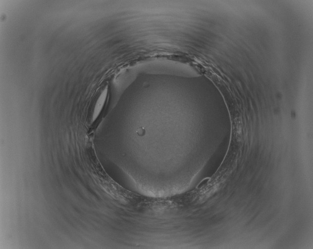 X0000076080916200610061612