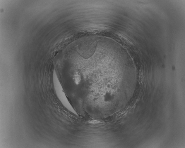 X0000076080917200610061612