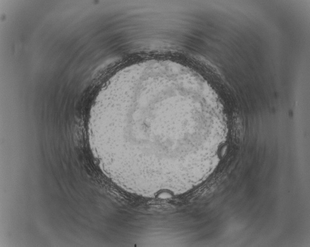 X0000076080918200610061612