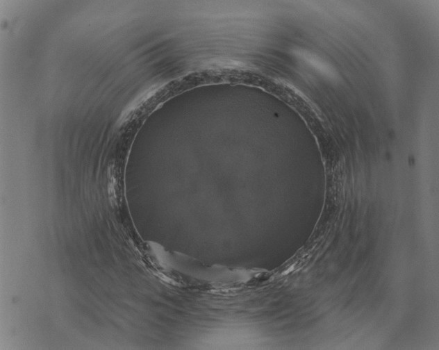 X0000076080919200610061612