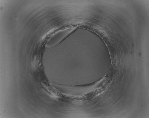 X0000076080920200610061612