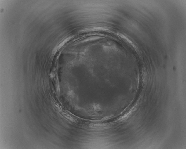 X0000076080921200610061612