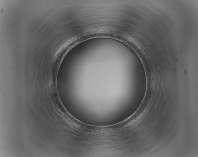 X0000076080922200610061612