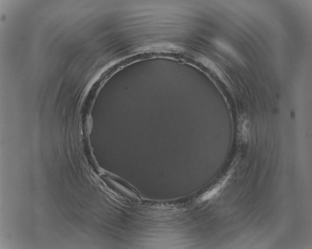 X0000076080923200610061612