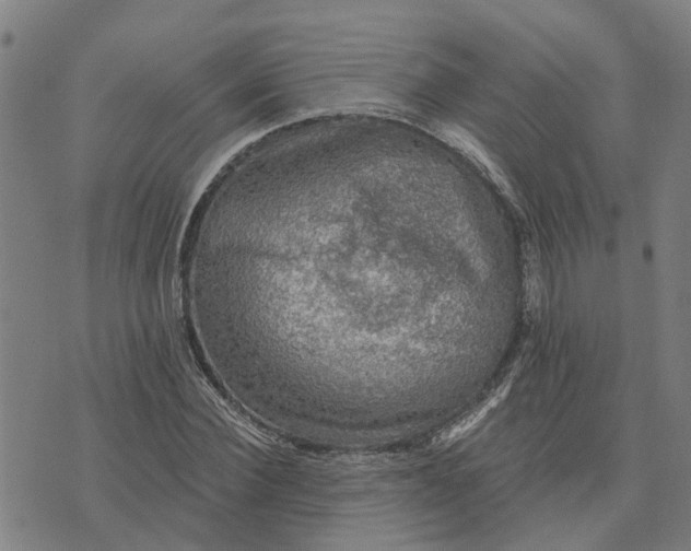 X0000076080924200610061612