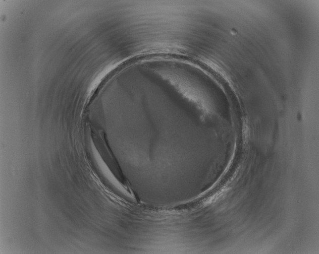 X0000076080925200610061612