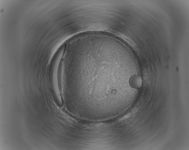 X0000076080926200610061612