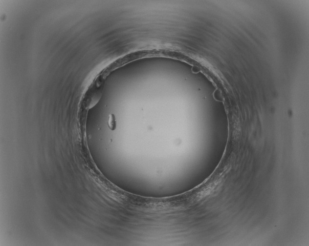 X0000076080927200610061612