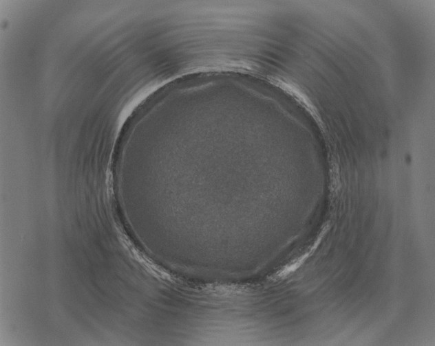 X0000076080928200610061612