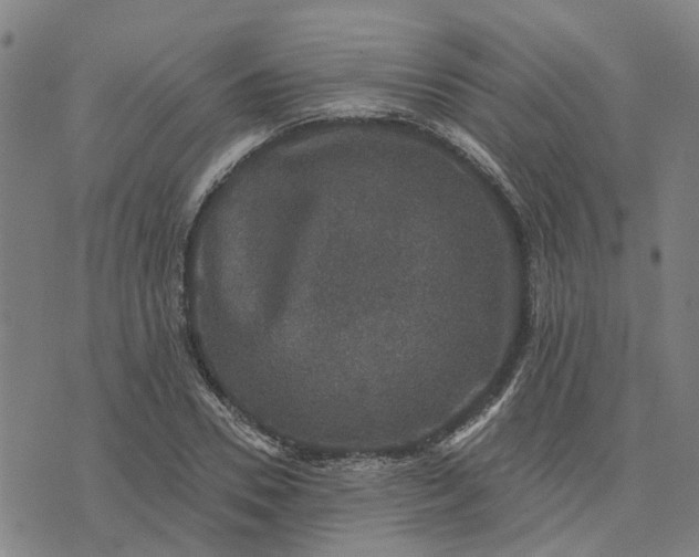 X0000076080930200610061612