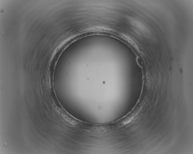 X0000076080931200610061612