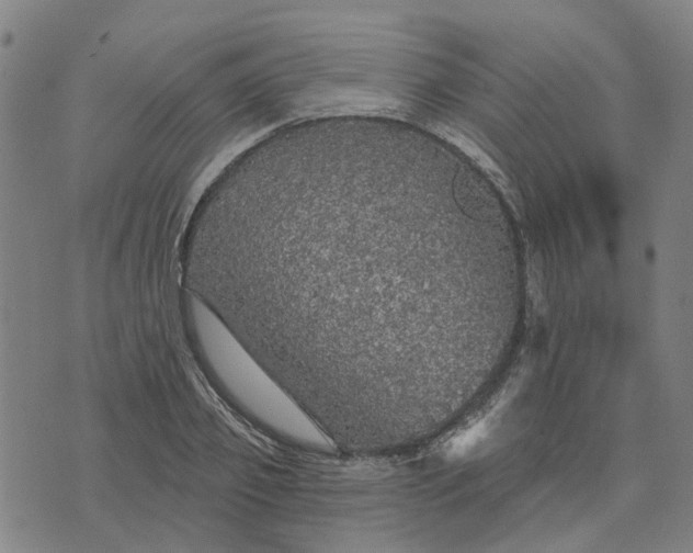 X0000076080933200610061612