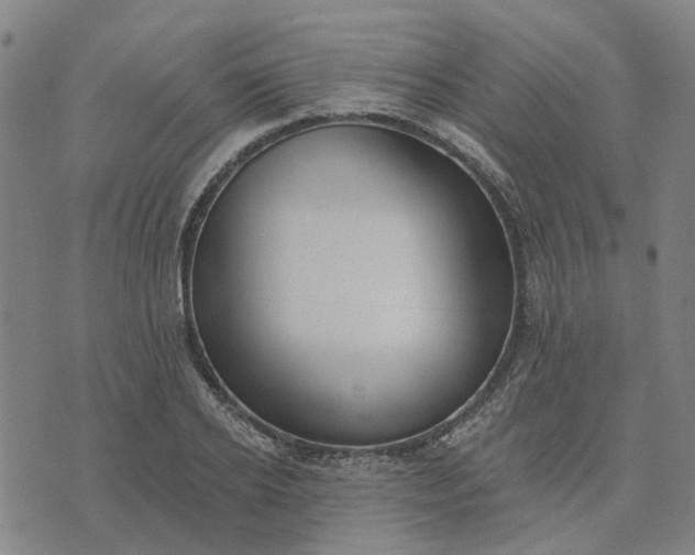 X0000076080934200610061612