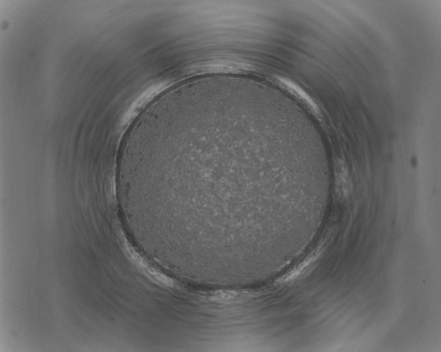 X0000076080938200610061612