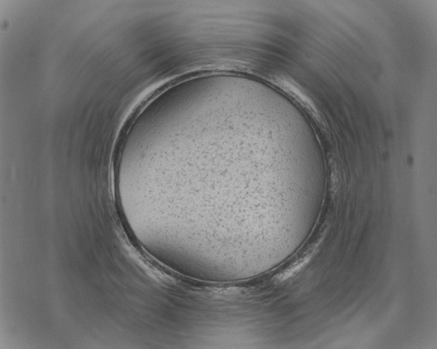 X0000076080940200610061612