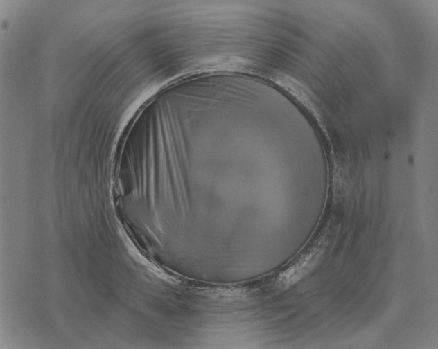 X0000076080941200610061612