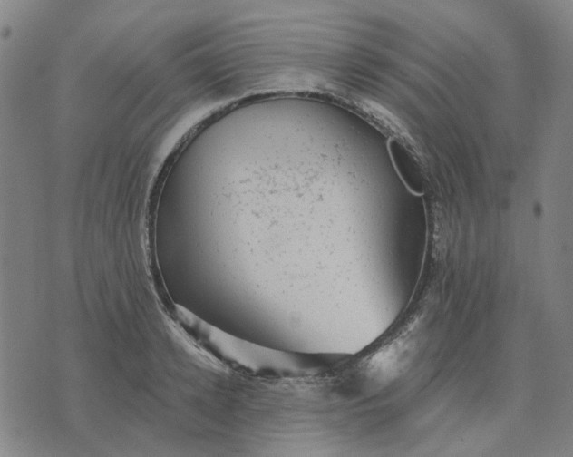 X0000076080942200610061612