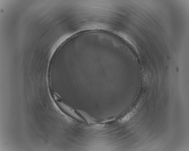 X0000076080943200610061612