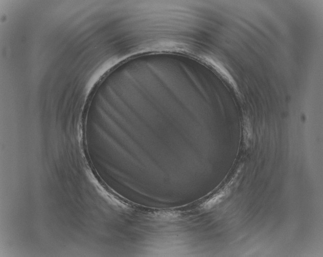 X0000076080944200610061612