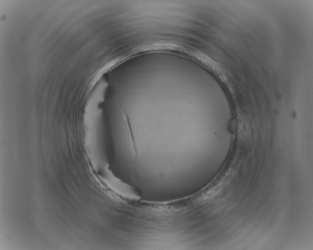 X0000076080945200610061612