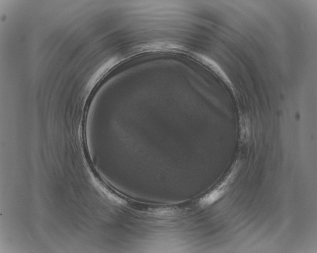 X0000076080946200610061612