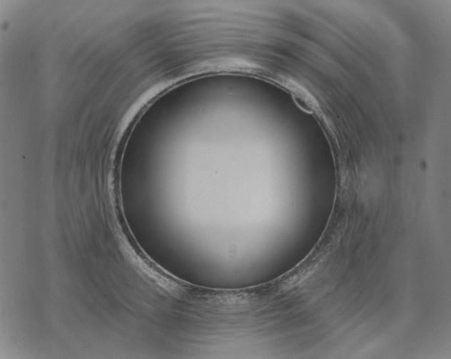 X0000076080947200610061612