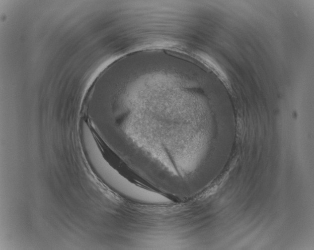 X0000076080948200610061612