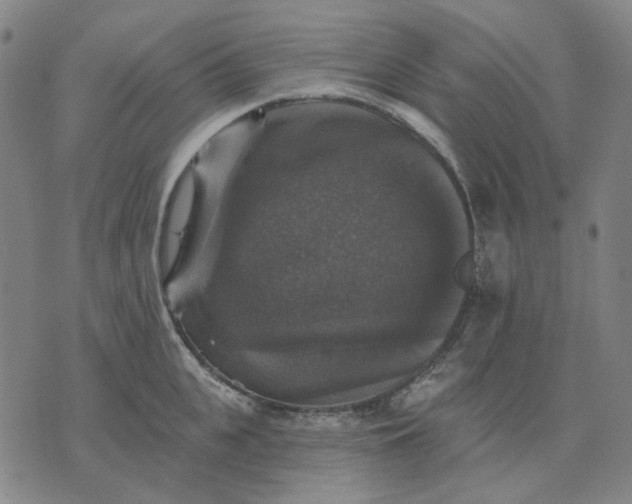 X0000076080951200610061613