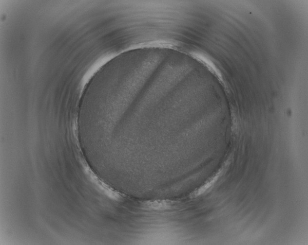 X0000076080952200610061613