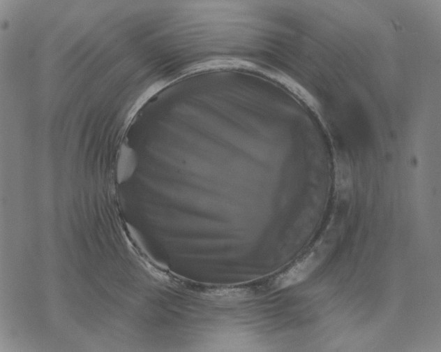 X0000076080953200610061613