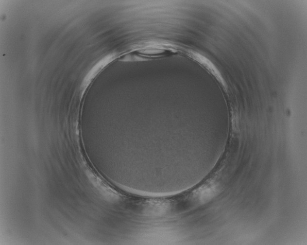 X0000076080954200610061613