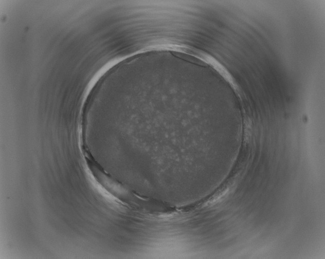 X0000076080955200610061613