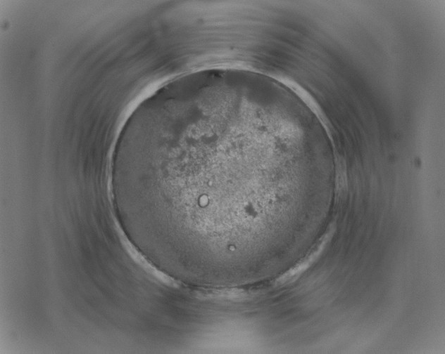 X0000076080957200610061613