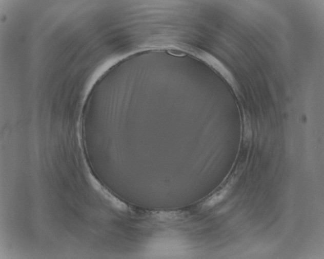 X0000076080958200610061613