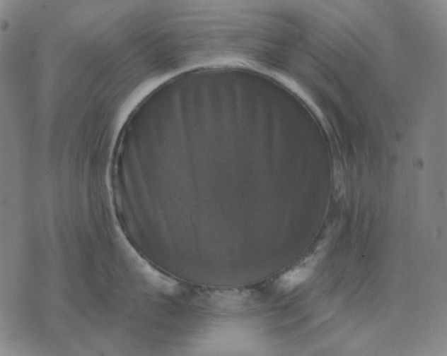 X0000076080959200610061613