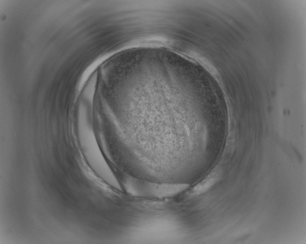 X0000076080960200610061613