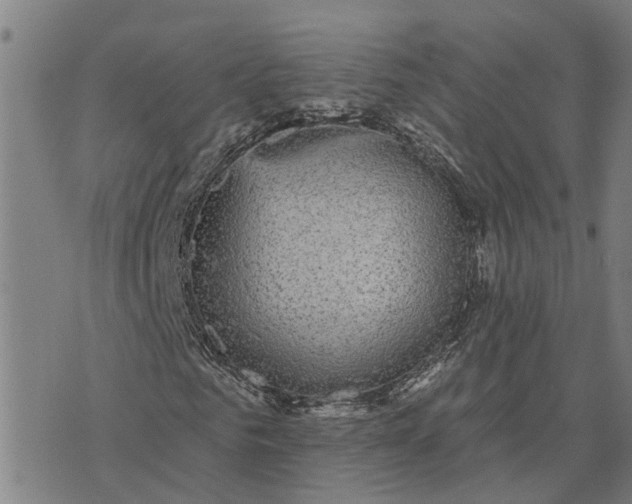 X0000076080961200610061612