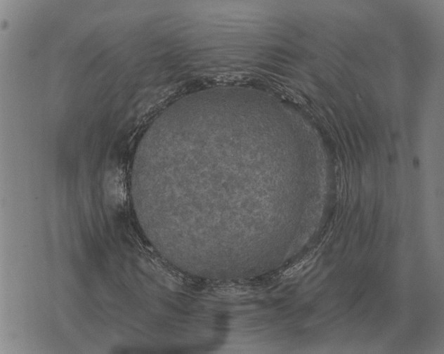 X0000076080962200610061612