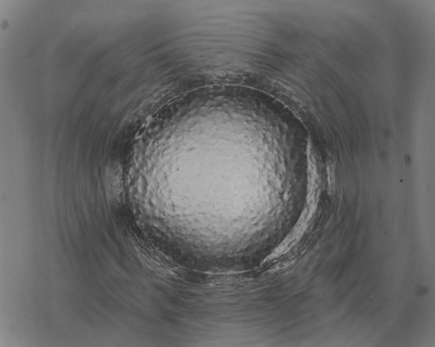 X0000076080963200610061612