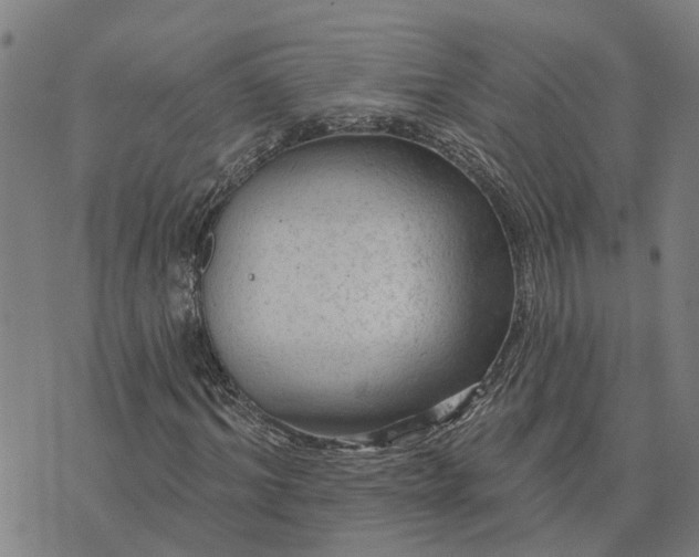 X0000076080964200610061612