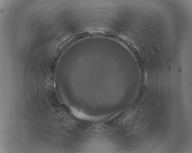 X0000076080966200610061612