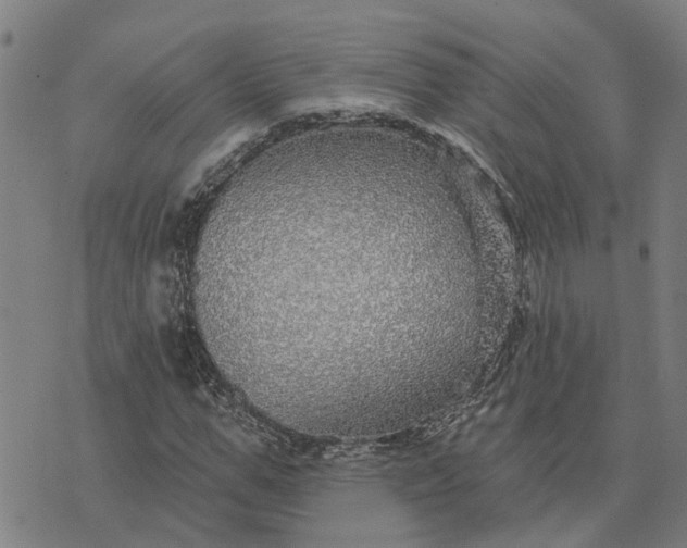 X0000076080967200610061612