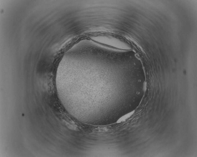 X0000076080968200610061612