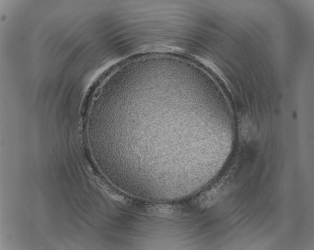 X0000076080971200610061612