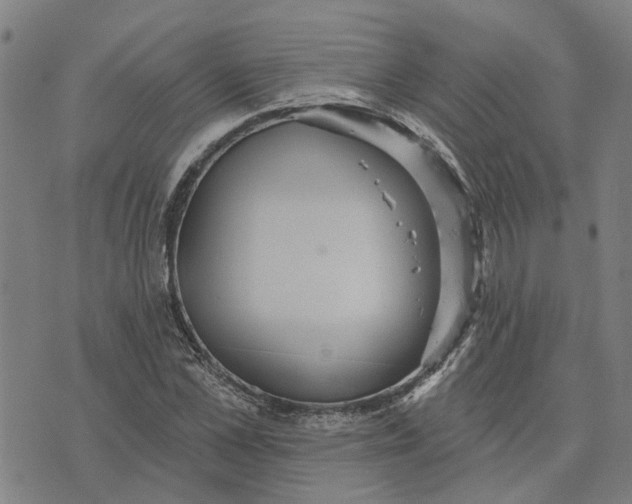 X0000076080973200610061612