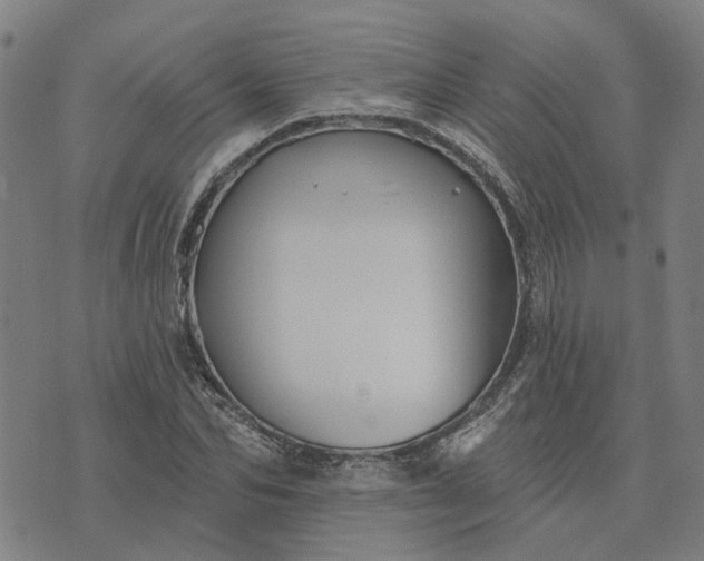 X0000076080974200610061612