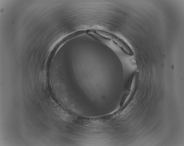 X0000076080975200610061612