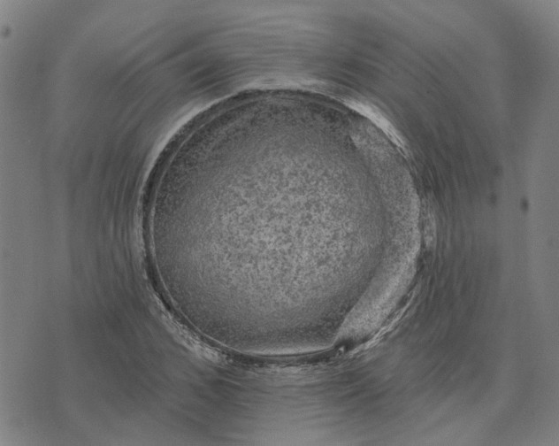 X0000076080976200610061612